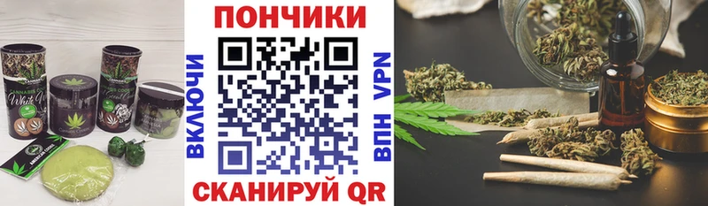 Canna-Cookies марихуана  Хадыженск 