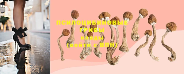 круглые Алзамай