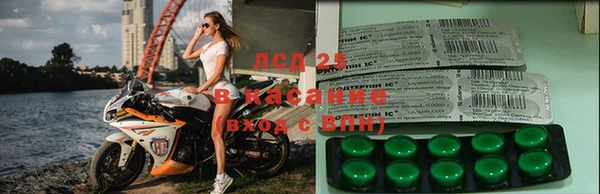 эйфоретик Абаза