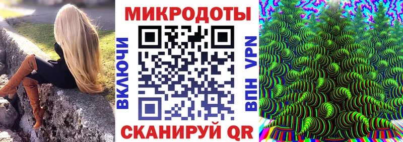 где купить наркоту  Хадыженск  Псилоцибиновые грибы Psilocybe 